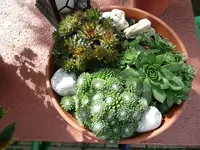 Foto3.webp