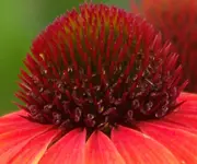 022.webp