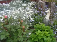 Foto8.webp