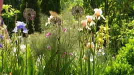 DSCN4866.webp