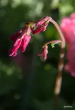 IMG_7152.webp