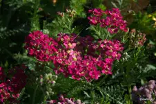 IMG_7160.webp