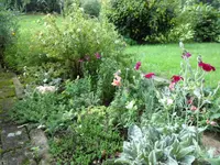 SAM_2128.webp