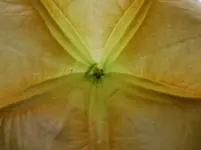 CIMG0991.webp