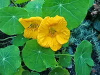 CIMG1029.webp