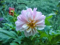 CIMG1050.webp