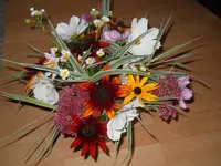 DSCN2607.webp