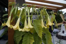 _DSC3348.webp