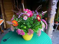 002.webp