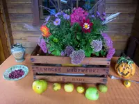 006.webp