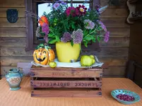 008.webp