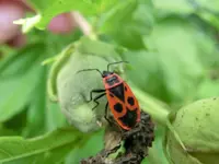 CIMG5606.webp