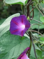 CIMG5602.webp