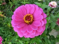 CIMG5581.webp