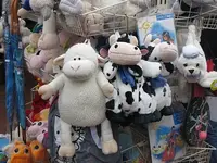 086.webp