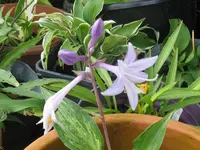 004_1024x768.webp