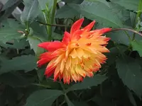 002.webp