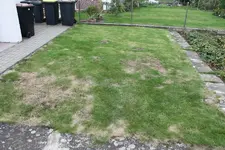 Rasen (7).webp