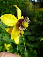 P1100698.webp