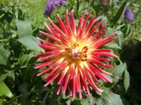 CIMG6608.webp