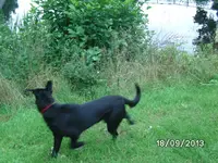 Anka (6).webp