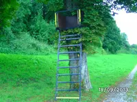 Hochsitz.webp