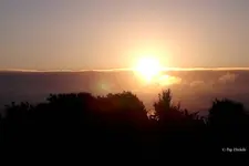 _SAuf II.webp