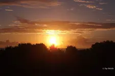 _SoAuf. 19.09.2013.webp