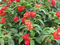001.webp