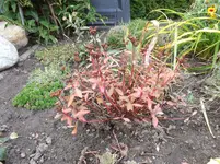 DSCF0564.webp