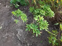 DSCF0565.webp