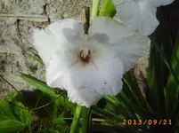 sept09 001.webp
