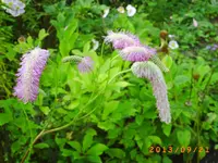 sept09 011.webp