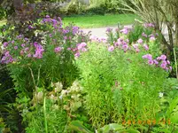 sept09 017.webp