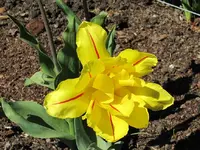 Copy of IMG_0613.webp