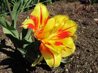 Copy of IMG_0619.webp