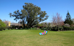Copy of IMG_0571v.webp