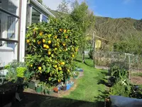 Copy of IMG_0474vv.webp