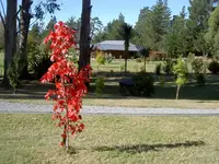 herbstliches...v.webp