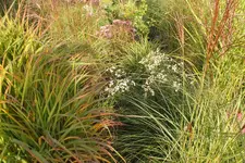 2013_0921Sommer0046.webp