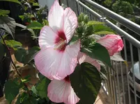 DSCF3016.webp