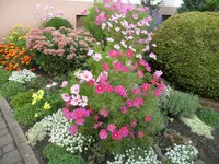SAM_1619.webp