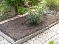 Roenpflanzung1-22.9.2013.webp