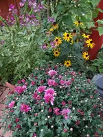Herbstterrasse1.webp