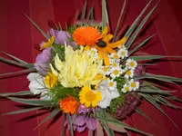 DSCN2610.webp