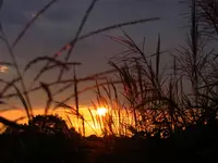 073.webp