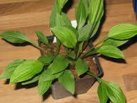 001_1024x768.webp