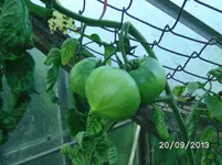 Leckerchen.webp
