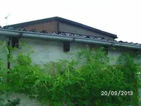 Inka Gurke.webp