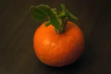 Kürbis.webp